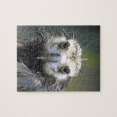 Mönchsgeier Puzzle (Horizontal)