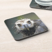 Mönchsgeier Untersetzer (Linke Seite)