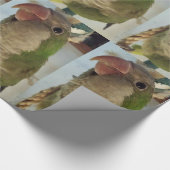 Mönchssittich Geschenkpapier (Ecke)