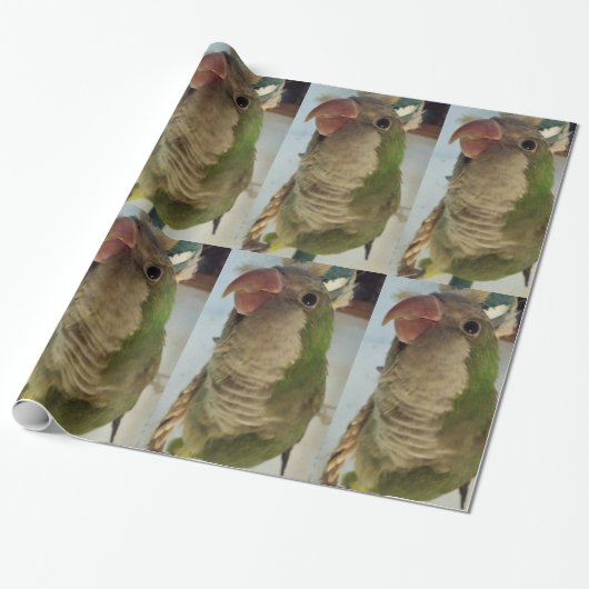 Mönchssittich Geschenkpapier (Ungerollt)