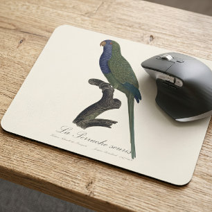 Mönchssittich oder Graukopfsittich, Myiopsitta Mon Mousepad