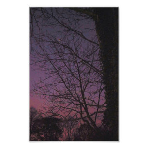 Mond am frühen Morgen Fotodruck