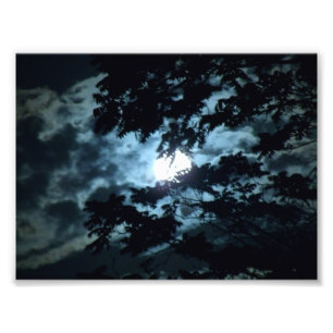 Mond belichtet die Nacht hinter Baumasten Fotodruck