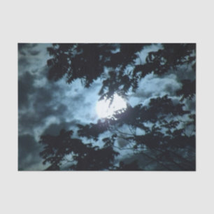 Mond belichtet die Nacht hinter Baumasten Seidenpapier