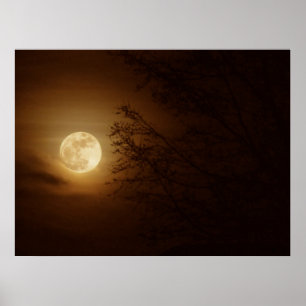 Mond durch die Bäume Poster