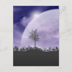 Mond Licht Sterne Himmel Bäume Whimsical Personali Postkarte