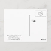 Mond-Lit-Nacht Postkarte (Rückseite)