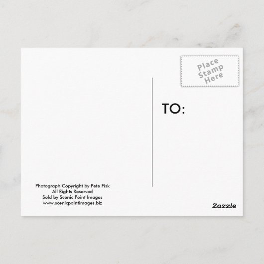 Mond-Lit-Nacht Postkarte (Rückseite)