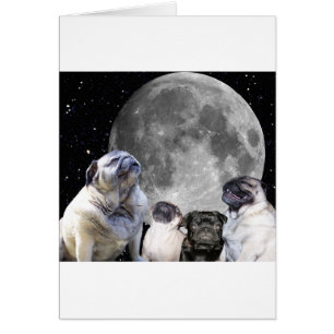 Mond-Mops des Mops-vier