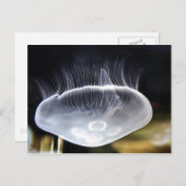Mond-Quallen-Postkarte Postkarte (Vorne/Hinten)