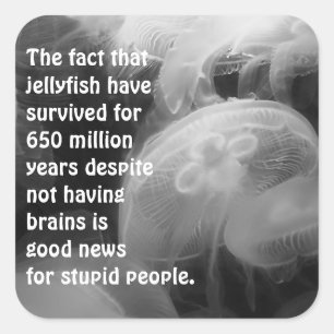 Mond-Quallen-Sticker Quadratischer Aufkleber