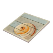 Mond-Schnecke Fliese (Seite)