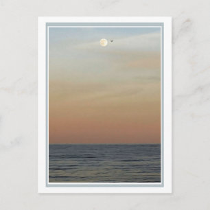 Mond und Vogel über dem Ozean Postkarte
