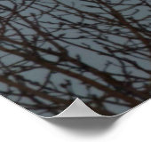 Mondaufstieg über dem Baumposter Poster (Ecke)