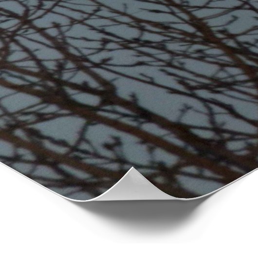 Mondaufstieg über dem Baumposter Poster (Ecke)