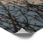 Mondaufstieg über den Bäumen Poster (Ecke)