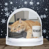 Monday Office Cat, Fun Cats meme Snow Globe Schneekugeln