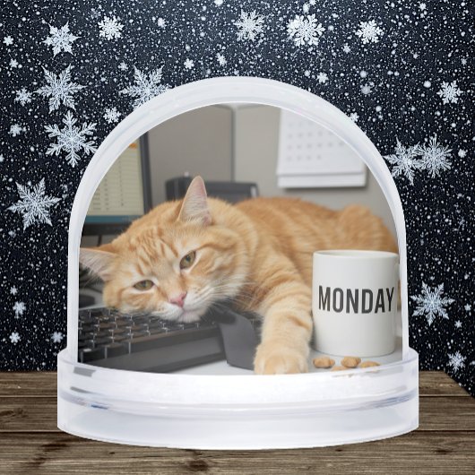 Monday Office Cat, Fun Cats meme Snow Globe Schneekugeln