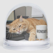 Monday Office Cat, Fun Cats meme Snow Globe Schneekugeln (Vorderseite)