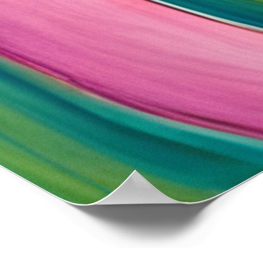 Mondbeehrer Poster (Ecke)