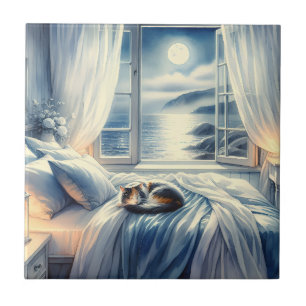 Mondbeschienenes Küsten-Schlafzimmer mit schlafend Fliese
