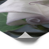 Mondblume Poster (Ecke)