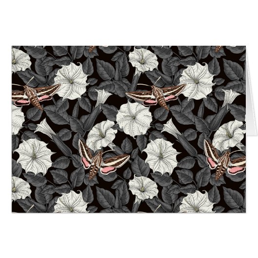 Mondblumen und Sphinx 2 (Vorderseite (Horizontal))