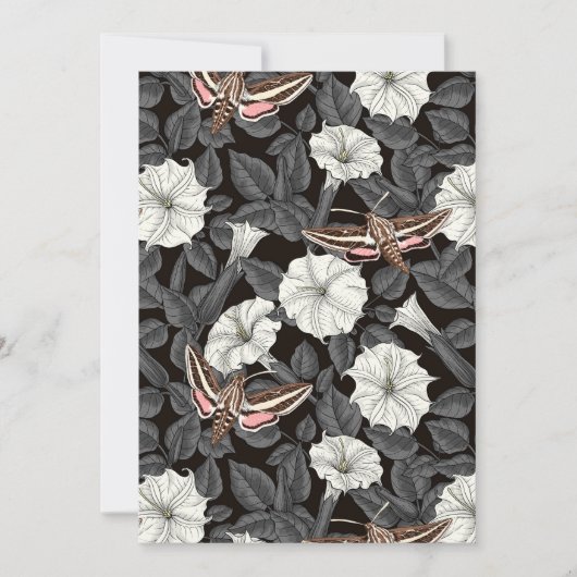 Mondblumen und Sphinx 2 (Vorderseite)