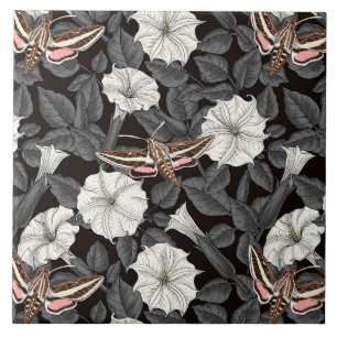 Mondblumen und Sphinx 2 Fliese