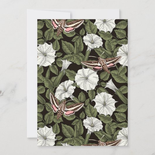 Mondblumen und Sphinxmotten (Vorderseite)