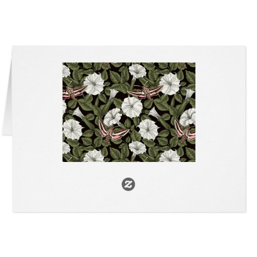 Mondblumen und Sphinxmotten (Rückseite Horizontal)