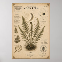 Mondfarn viktorianischer botanischer Museumdruck Poster