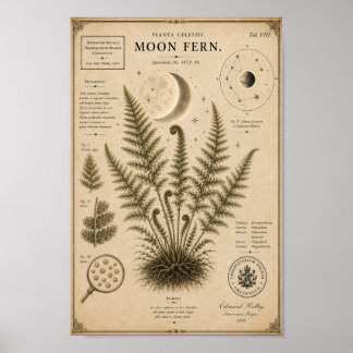 Mondfarn viktorianischer botanischer Museumdruck Poster