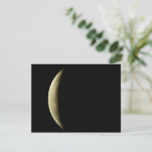 Mondfinsternis (Stehend Vorderseite)