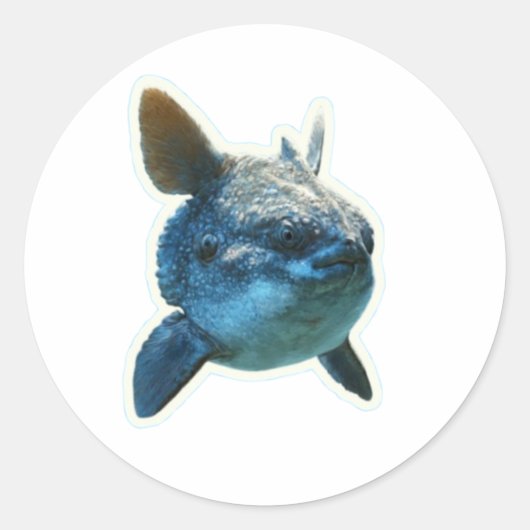 Mondfisch (Mola Mola) Aufkleber - Bali (Vorderseite)