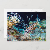 Mondfische auf der Postkarte des Großen Barrier Re (Vorne/Hinten)