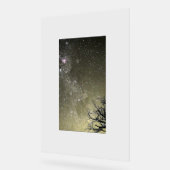 Mondflucht Portrait von Chrome Kitten Acrylschild (Winkel)