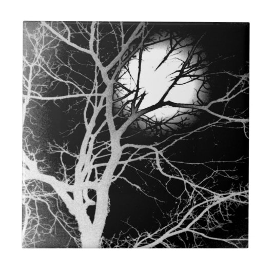 Mondlicht Fliese (Vorderseite)