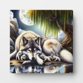 Mondlicht-Heiligkeit ein schlummernder Wolf Fotoplatte (Vorderseite)