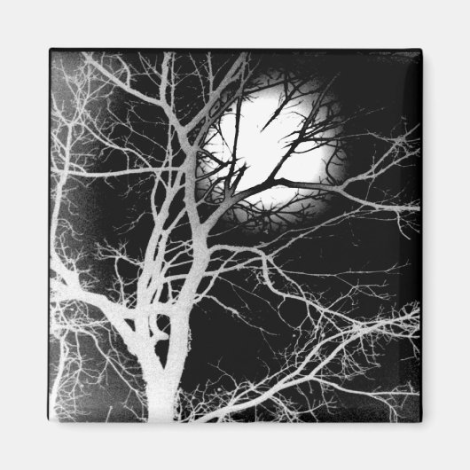 Mondlicht Magnet (Vorne)