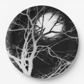 Mondlicht Pappteller (Vorderseite)