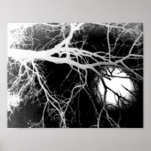 Mondlicht Poster (Vorne)