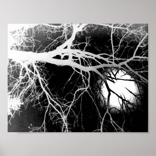 Mondlicht Poster (Vorne)