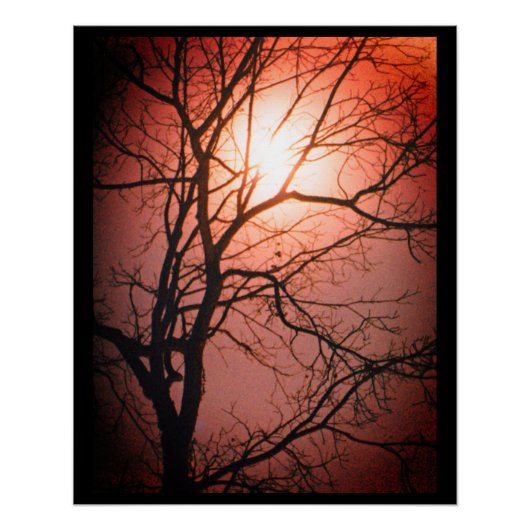 Mondlicht Poster (Vorderseite)