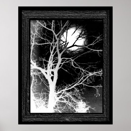 Mondlicht Poster (Vorne)