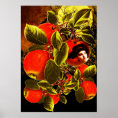 Mondlicht Poster (Vorne)