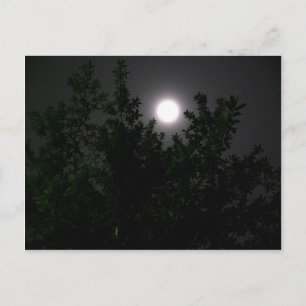 Mondlicht Postkarte