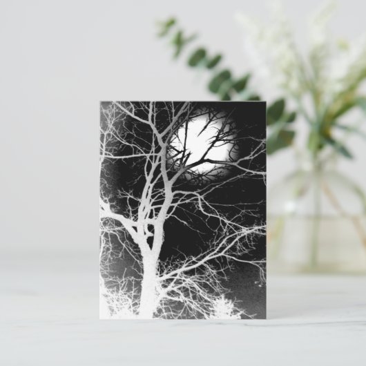 Mondlicht Postkarte (Stehend Vorderseite)