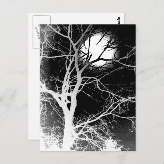 Mondlicht Postkarte (Vorne/Hinten)