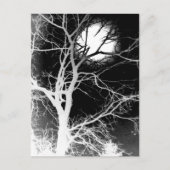 Mondlicht Postkarte (Vorderseite)